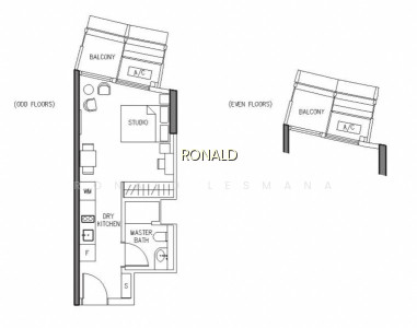 DUO RESIDENCES photo 4