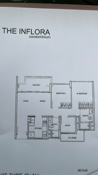 THE INFLORA photo 3
