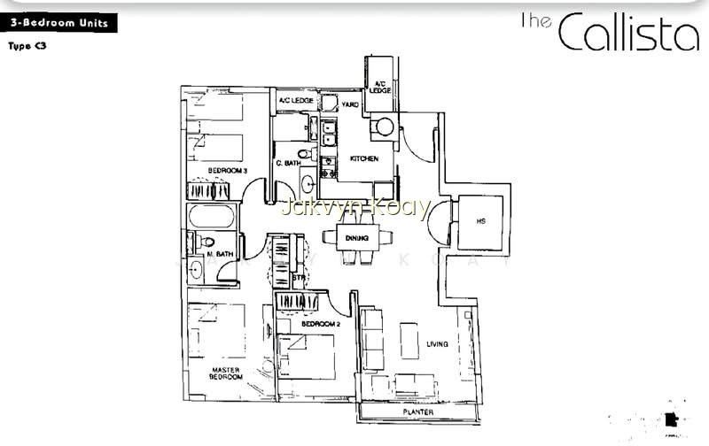 THE CALLISTA photo 4