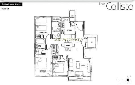 THE CALLISTA photo 5