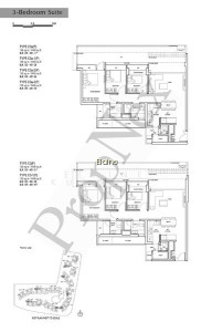 D'NEST photo 4