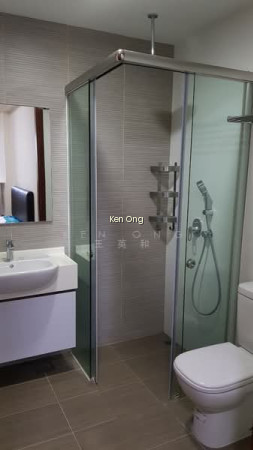 CASSIA EDGE photo 6