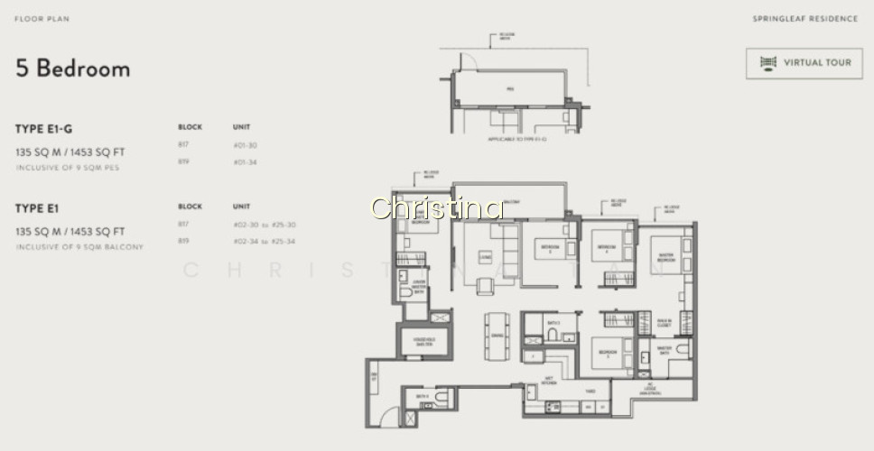 SPRINGLEAF RESIDENCE photo 2