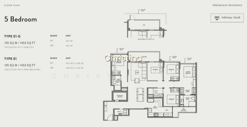 SPRINGLEAF RESIDENCE photo 3