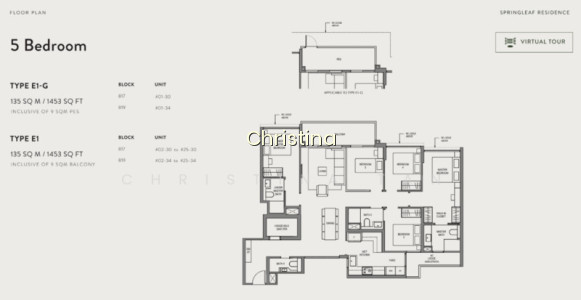 SPRINGLEAF RESIDENCE photo 4