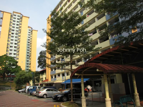164 STIRLING ROAD 8