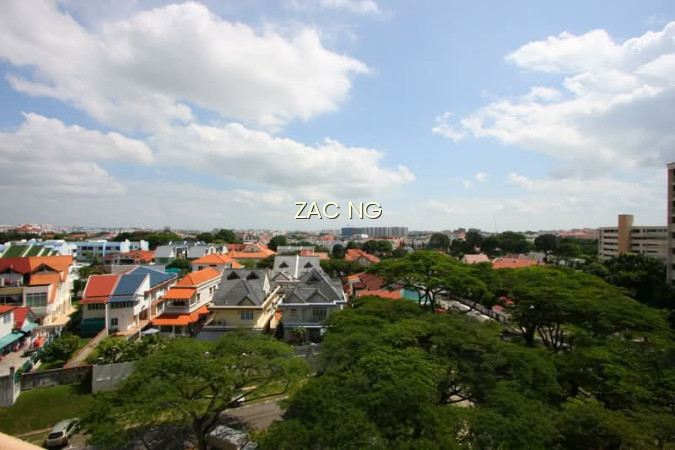 221 SERANGOON AVENUE 4 photo 5