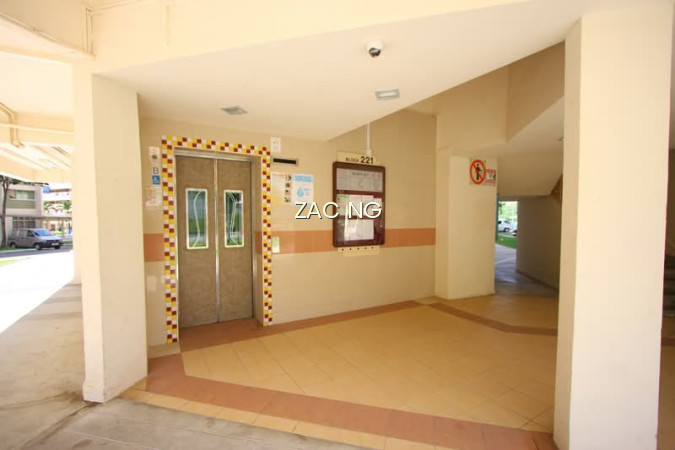 221 SERANGOON AVENUE 4 photo 6