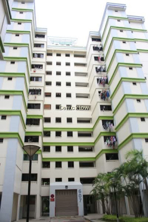 607 WOODLANDS RING ROAD photo 6
