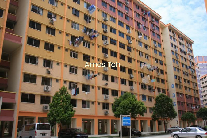 835 JURONG WEST STREET 81 photo 5