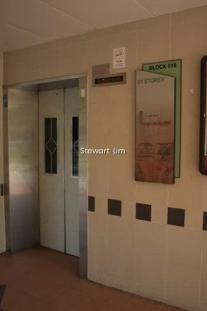515 JURONG WEST STREET 52 photo 6