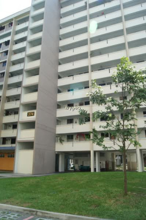 374 CLEMENTI AVENUE 4 photo 4