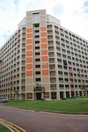 735 JURONG WEST STREET 75 photo 3