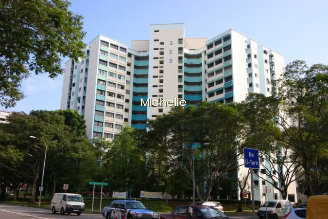 255 SERANGOON CENTRAL DRIVE photo 4