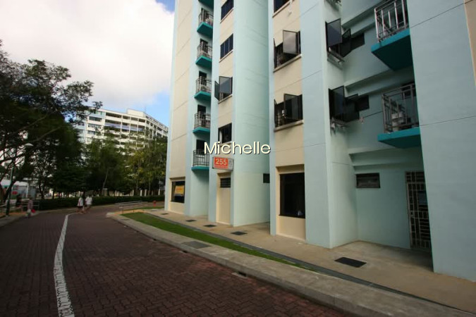 255 SERANGOON CENTRAL DRIVE photo 6