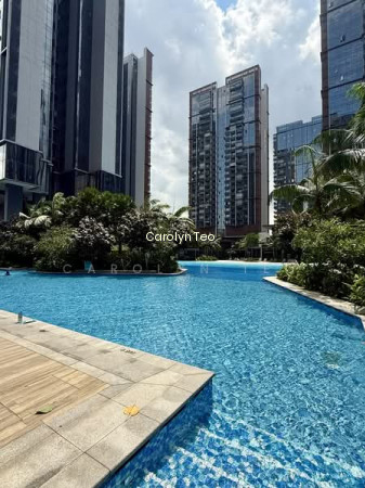 PARC CLEMATIS 10