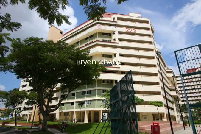 222 SERANGOON AVENUE 4 photo 5