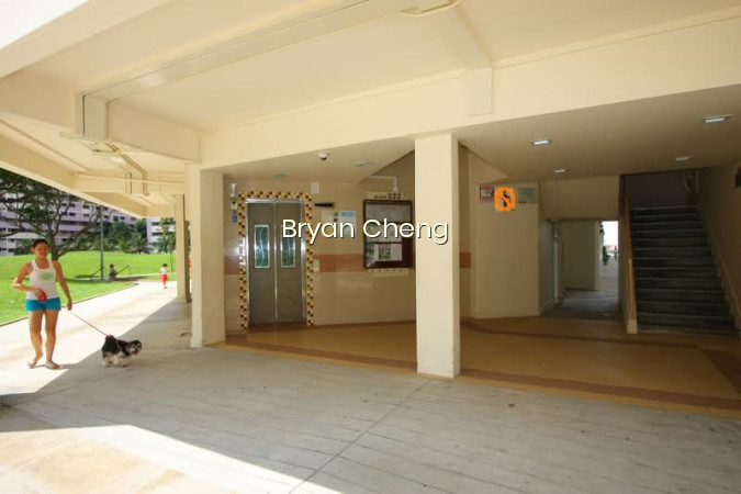 222 SERANGOON AVENUE 4 photo 6