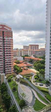 269 BISHAN STREET 24 photo 6