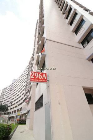 296A CHOA CHU KANG AVENUE 2 photo 6