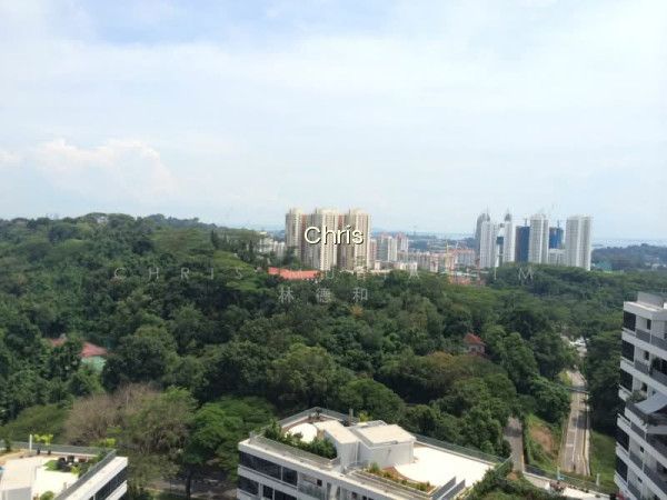 THE INTERLACE photo 5