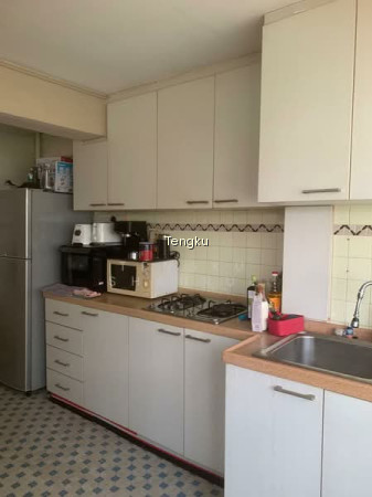 8 HOLLAND AVENUE photo 2