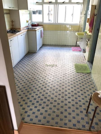 8 HOLLAND AVENUE photo 4