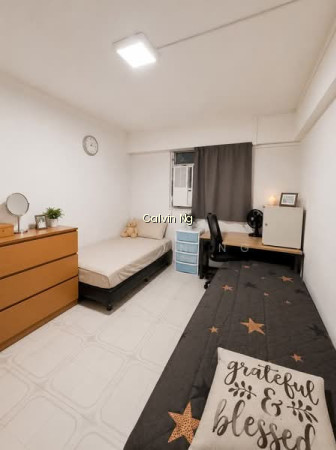 133 BUKIT BATOK WEST AVENUE 6 photo 5