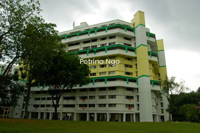 211 BUKIT BATOK STREET 21 photo 6
