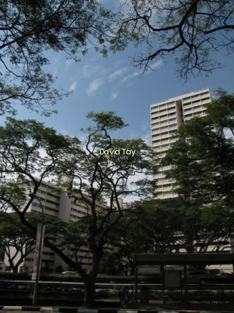 12 MARINE TERRACE photo 5