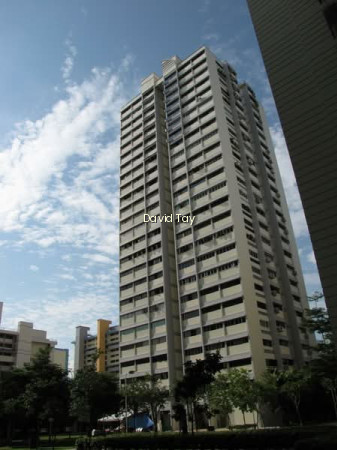 12 MARINE TERRACE photo 6