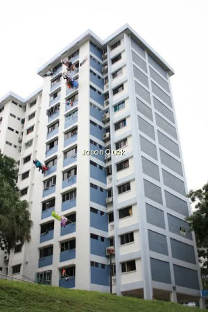 27 MARSILING DRIVE photo 5