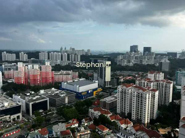 STIRLING RESIDENCES photo 3