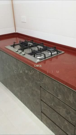 805A KEAT HONG CLOSE photo 2