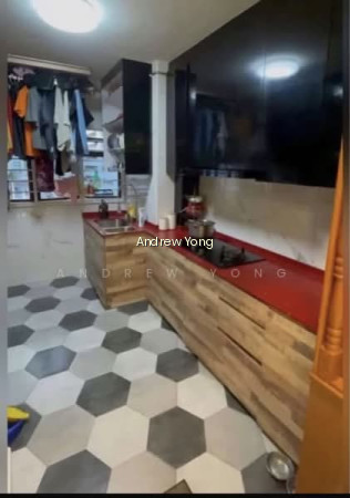166 WOODLANDS STREET 13 photo 4