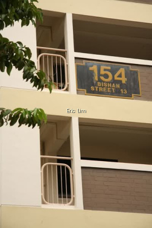 154 BISHAN STREET 13 photo 6