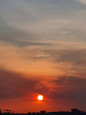 SUNRISE GARDENS photo 2