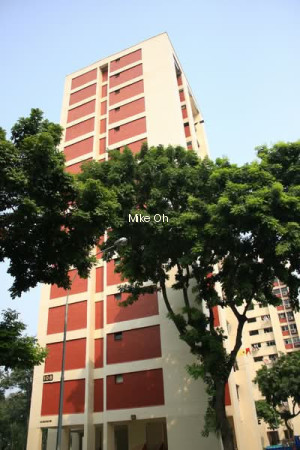 108 POTONG PASIR AVENUE 1 photo 5