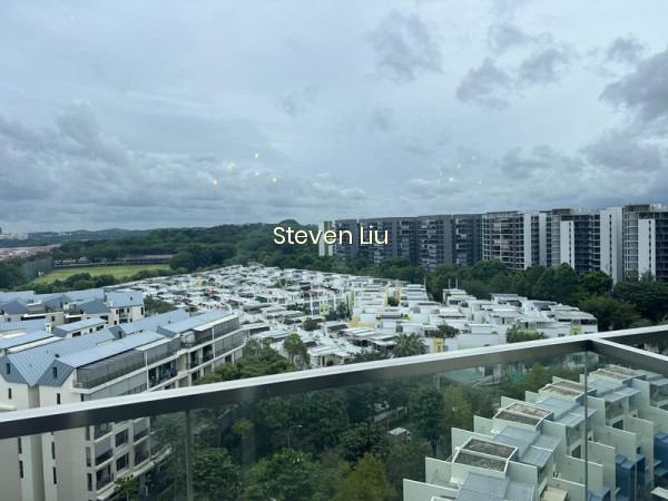 SKIES MILTONIA photo 3