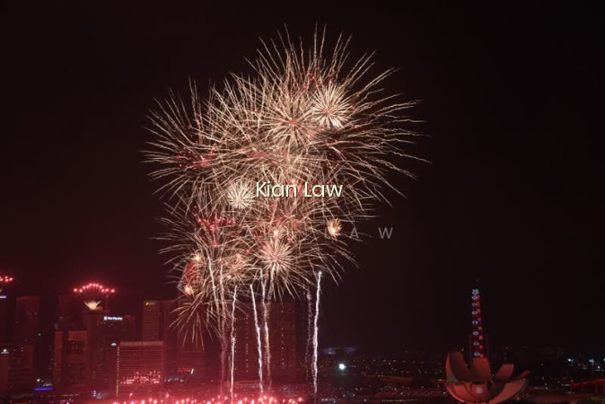 MARINA BAY RESIDENCES
