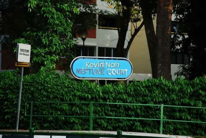 NEPTUNE COURT photo 6