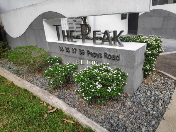 THE PEAK photo 4