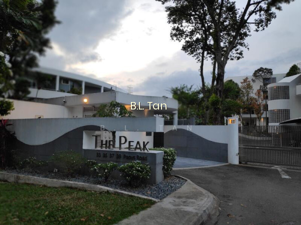 THE PEAK photo 5