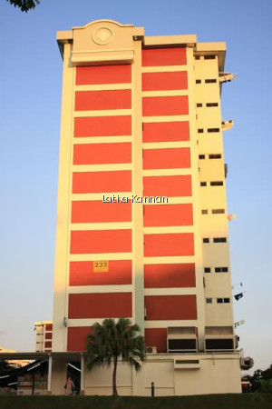 233 ANG MO KIO AVENUE 3 photo 6