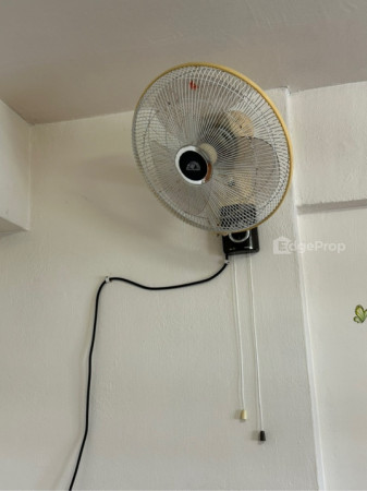 8 HOLLAND AVENUE photo 2