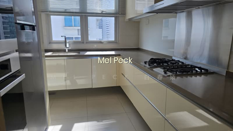 RESIDENCES @ EMERALD HILL photo 2