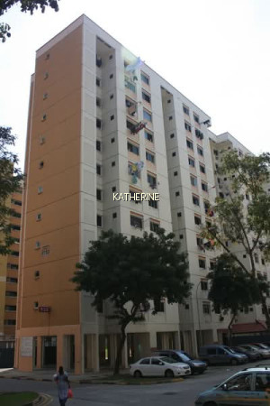 928 JURONG WEST STREET 92 photo 3