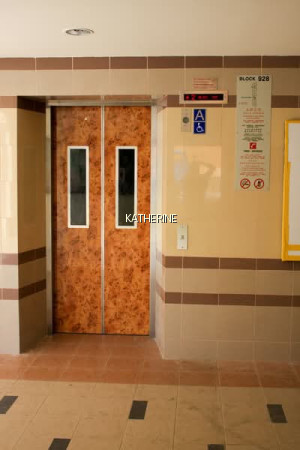 928 JURONG WEST STREET 92 photo 5