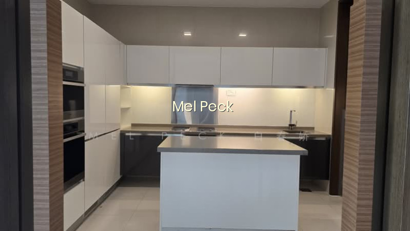 RESIDENCES @ EMERALD HILL photo 3