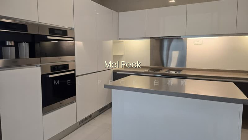 RESIDENCES @ EMERALD HILL photo 5